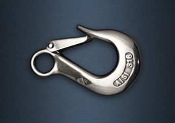 Eye Type Hook with Latch