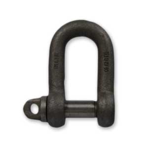 Small Dee Shackle Type-A With Screw Collar Pin