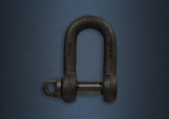 Small Dee Shackles Type A Screw Collar Pin
